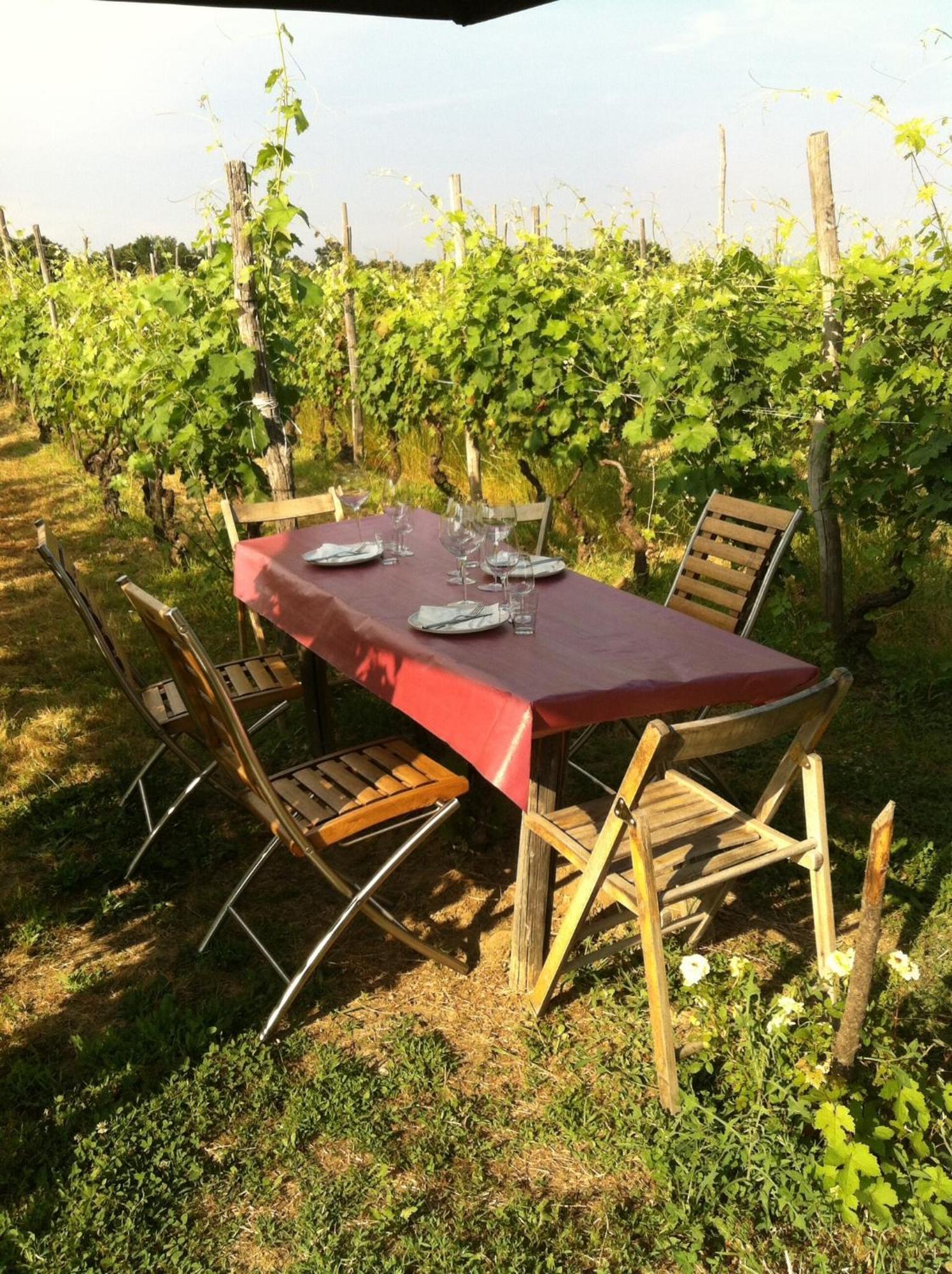 Cascina La Maddalena Bed & Wine Villa Rocca Grimalda Bagian luar foto