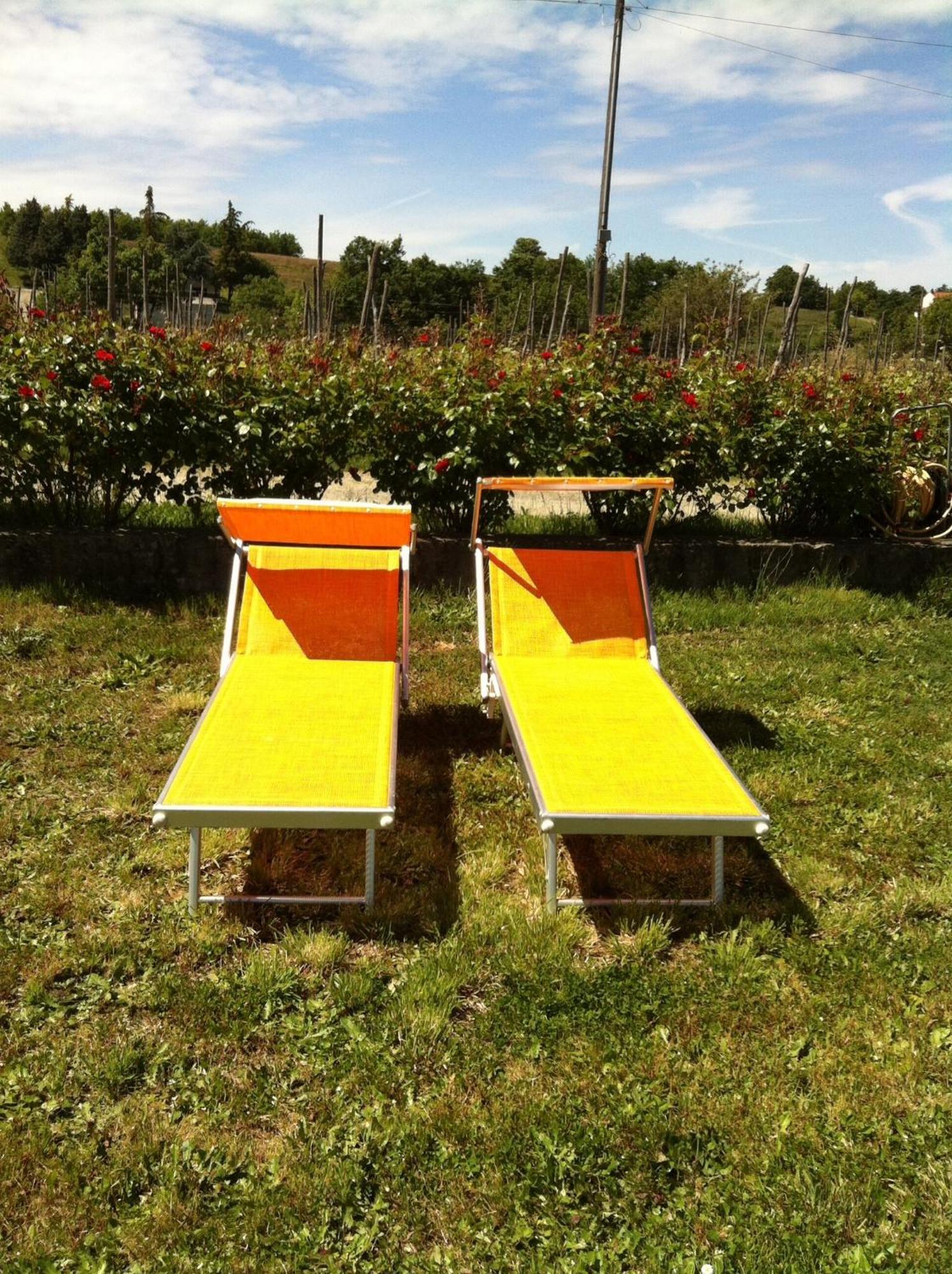 Cascina La Maddalena Bed & Wine Villa Rocca Grimalda Bagian luar foto