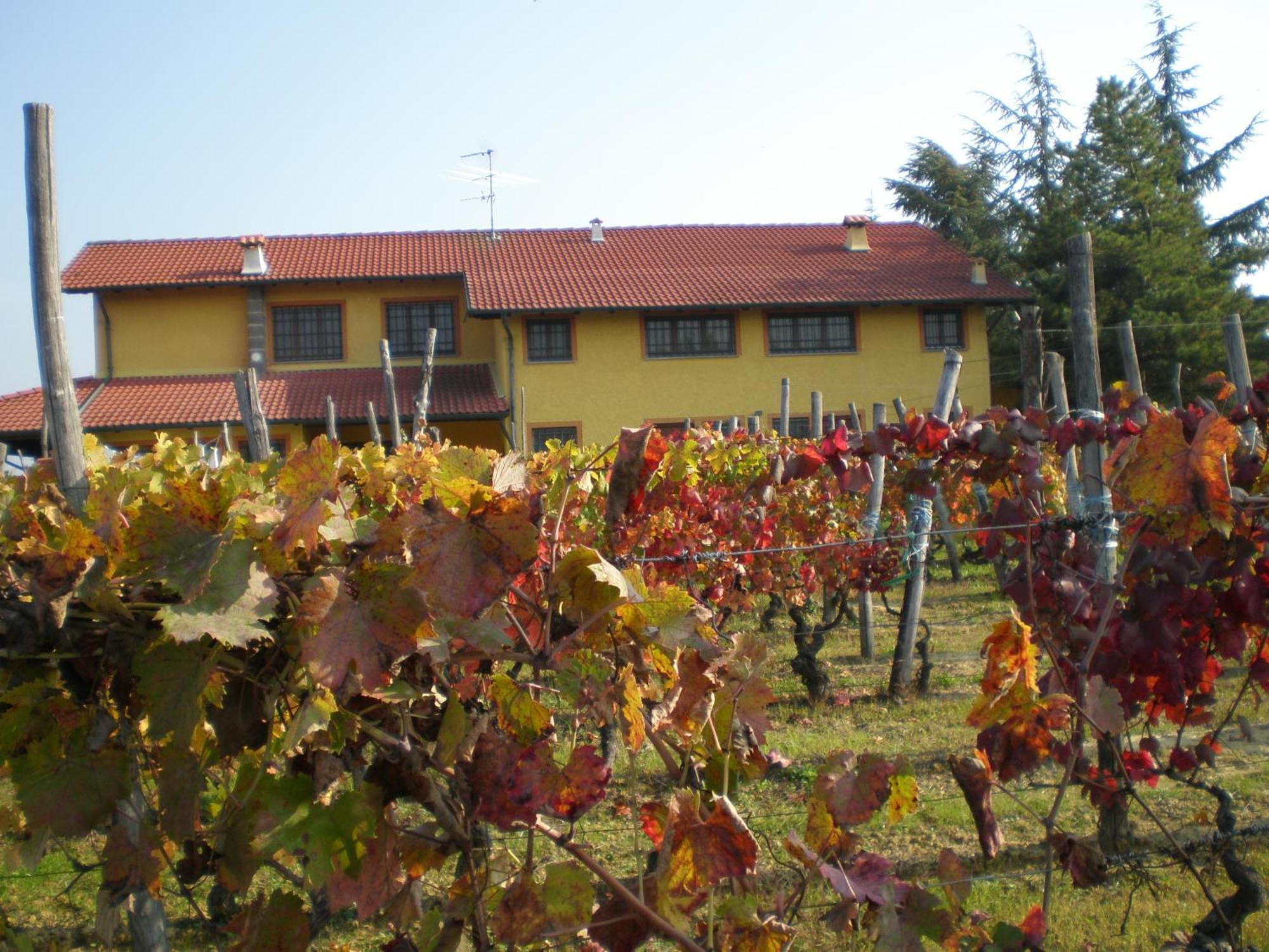 Cascina La Maddalena Bed & Wine Villa Rocca Grimalda Bagian luar foto