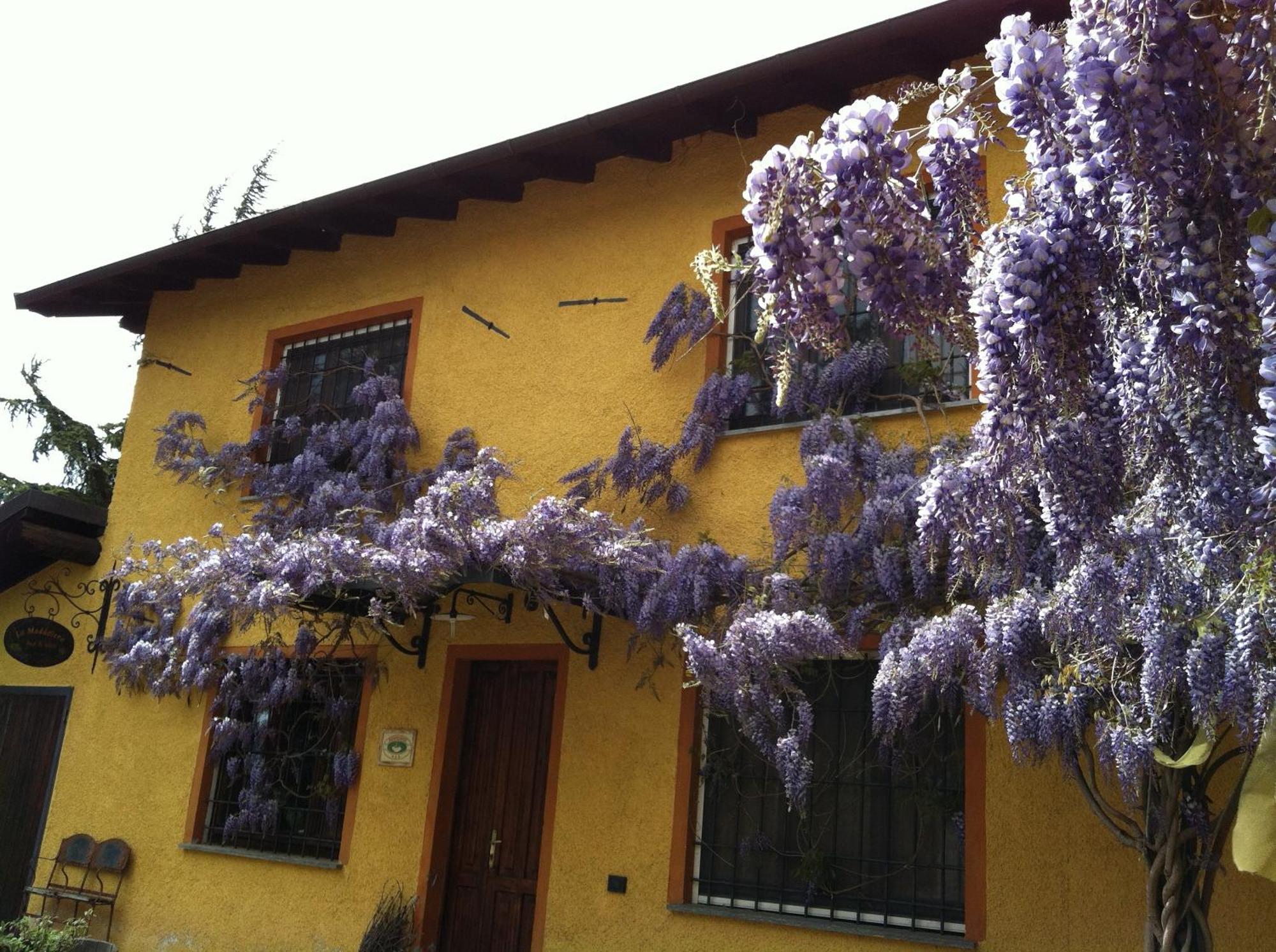 Cascina La Maddalena Bed & Wine Villa Rocca Grimalda Bagian luar foto