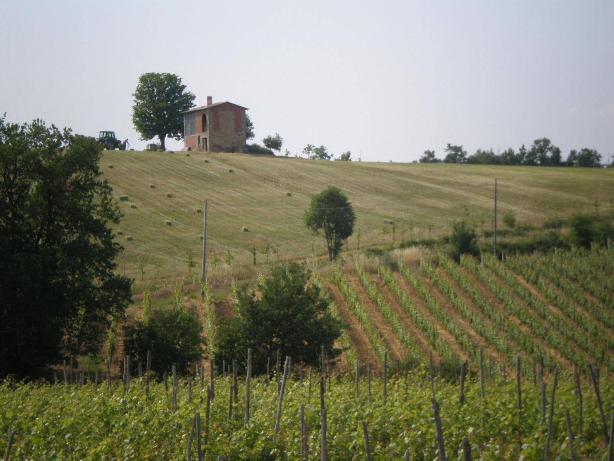 Cascina La Maddalena Bed & Wine Villa Rocca Grimalda Bagian luar foto