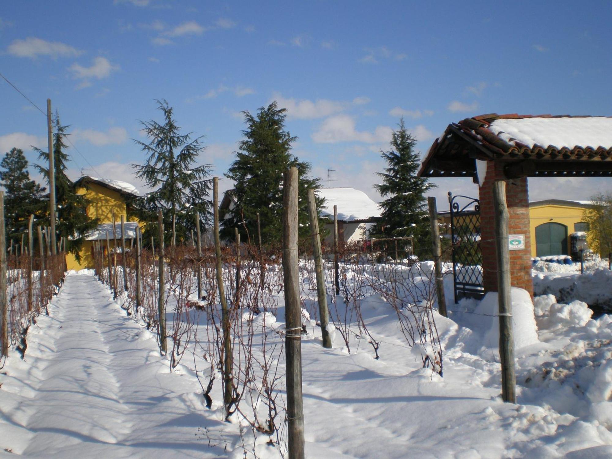 Cascina La Maddalena Bed & Wine Villa Rocca Grimalda Bagian luar foto